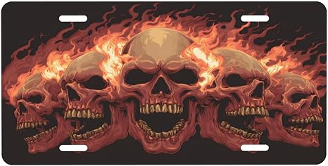 Flame Skull License Plate, Decorative Car Front License Plate, Aluminum Novelty License Plates Vanity Tag Metal Car Plate 6 x 12 in, Made in USA (4 Holes) for Men & Women - skull plate