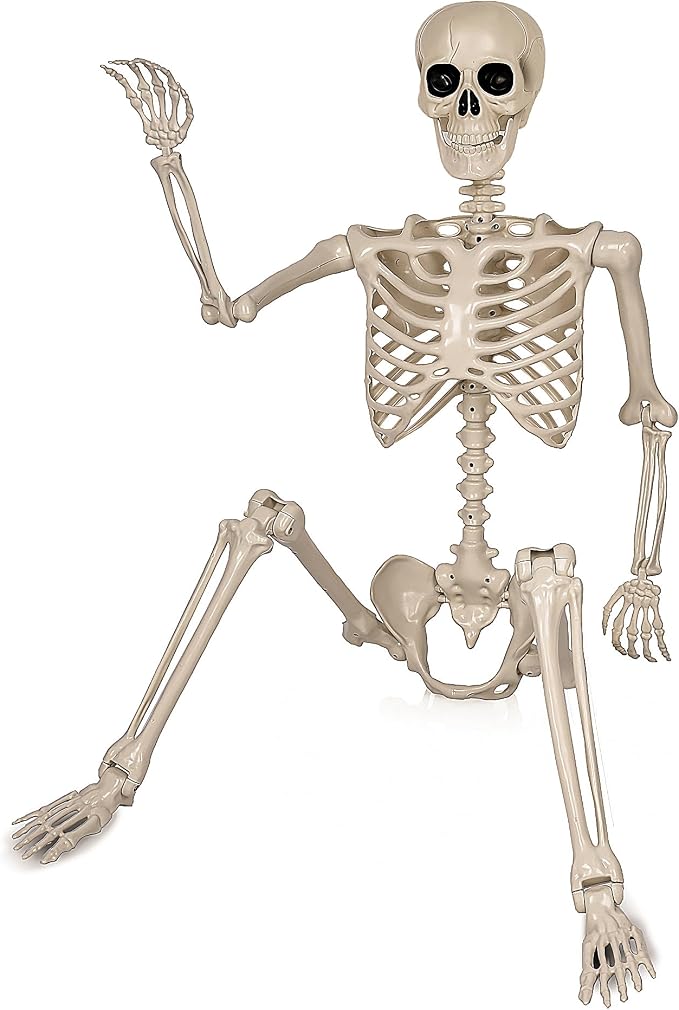 Aimeiar 5.4ft/165cm Life Size Skeleton for Halloween Decorations Outdoor/Indoor,Poseable Halloween Giant Skeletons-Full Body Realistic Bones with Movable Joints for Spooky Party Decoration