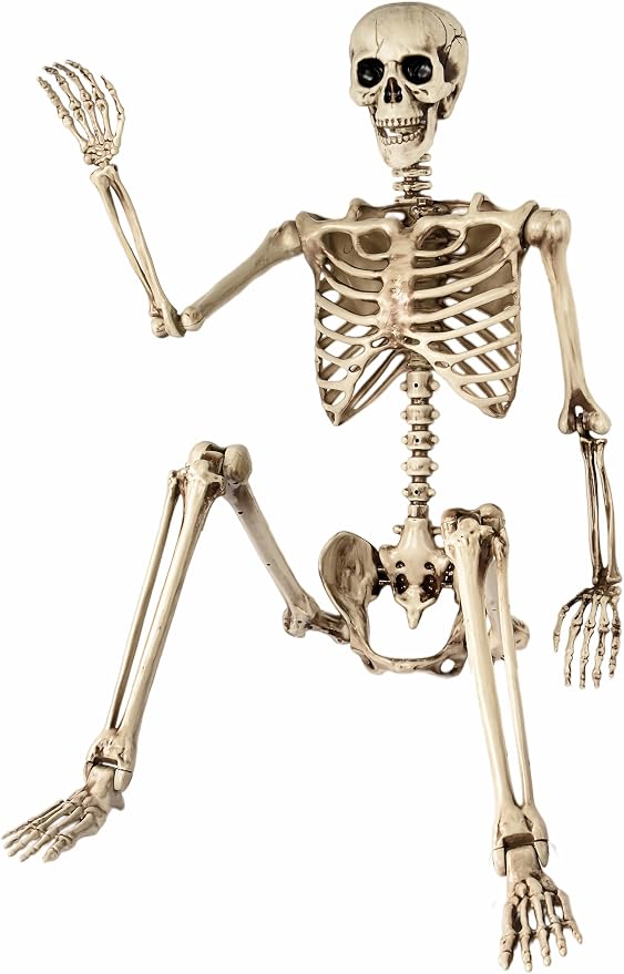 Aimeiar 5.4 Ft Halloween Skeleton Life Size, Posable Skeletons Decor, Full Body Movable Joints Giant Skeletons for Halloween Decoration Outdoor, Haunted House Prop, Spooky Scary Graveyard Party - skeleton