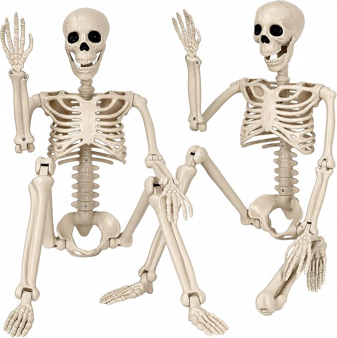 Halloween Decorations outdoor, 2Pack 36" halloween-Skeletons Decoration indoor-3ft Life Size Human Plastic Skeleton with Full Body Posable Joints for Halloween Party decorations Yard Gardon Porch Lawn - skeleton