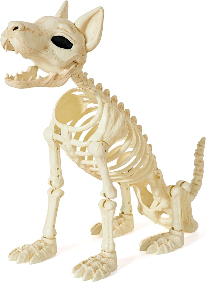 JOYIN 34” Halloween German Shepherd Skeleton, Life Size Plastic Dog Skeleton with Movable Posable Joints, Realistic Animal Bones for Haunted House, Graveyard, Indoor Outdoor Garden Party Decor - skeleton