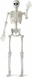 JOYIN 5 FT Halloween Skeleton Life Size, Stayable Posable White Skeleton Decor, Full Body Movable Joints Giant Skeletons for Halloween Decoration, Spooky Scary Graveyard Party, Haunted House Prop