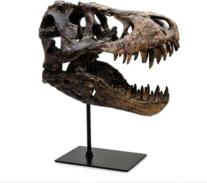 Dinosaur Skull, T-Rex Resin Fossil Replica on Iron Stand Decor - skull figurine