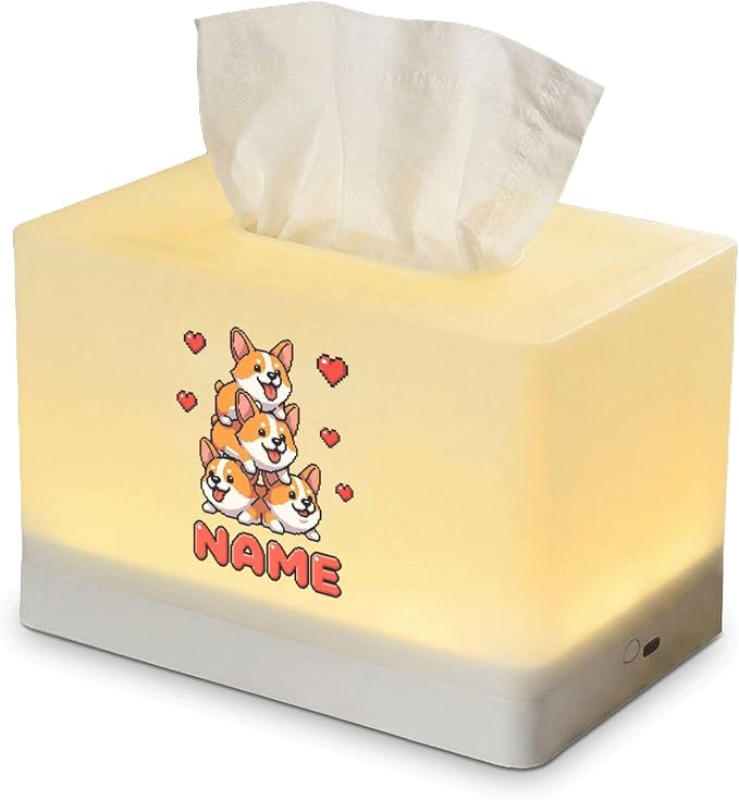 Personalized Tissue Box Cover with LED Night Light Custom Name Skull Graphic Rechargeable Dispenser for Bedroom Decor