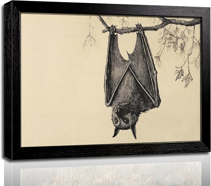 Framed Vintage Bat Sketch Wall Art, Gothic Halloween Bats Canvas Print Poster, Dark Academia Decor for Living Room Bedroom, Animal Aesthetic Home Decoration, - skull wall art