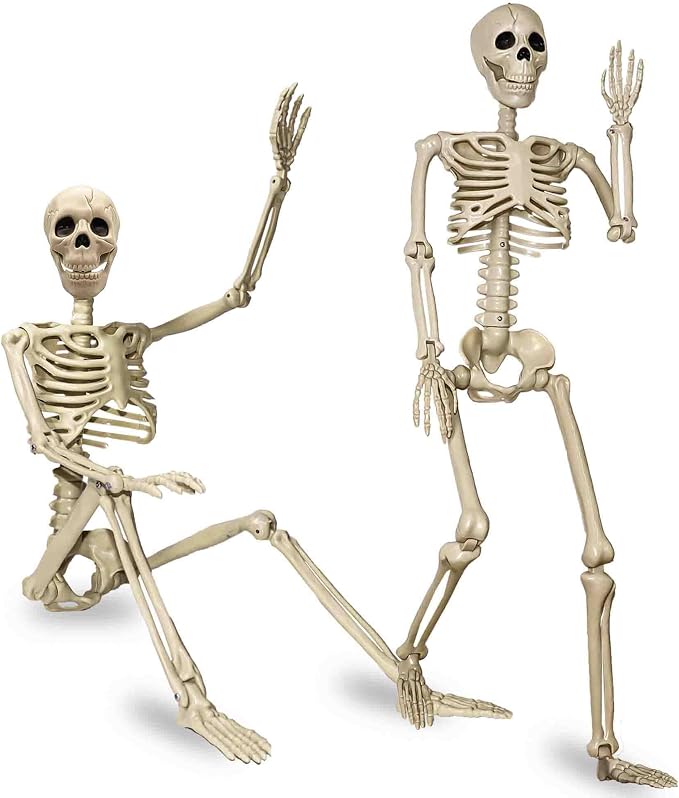 2 Pack 24″Halloween Skeleton – 2 ft Life Size Human Skeleton with Full Body Posable Joints Plastic Skeleton for Halloween Skeletons Decor Yard Patio Lawn Garden Skeleton Props Spooky Party Decoration