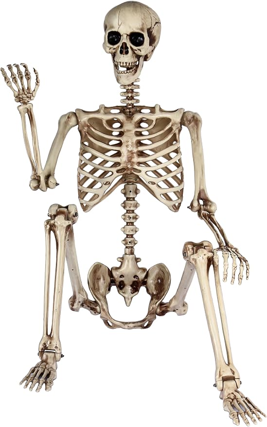 5.4ft Life Size Skeleton,Poseable Halloween Giant Skeletons Decorations Outdoor,Full Body Bones with Movable Joints for Spooky Scay Party Decoration Indoor Yard Gardon Porch Lawn