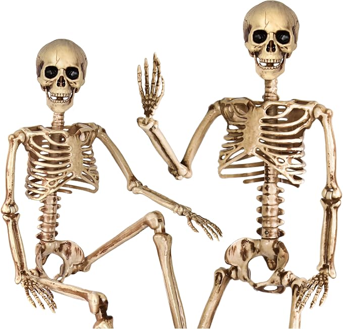 Halloween Decorations outdoor, 2Pack 36" halloween Skeletons Decoration indoor-3ft Life Size Plastic Skeleton with Full Body Posable Joints for Halloween Party decorations Yard Gardon Porch Lawn - skeleton