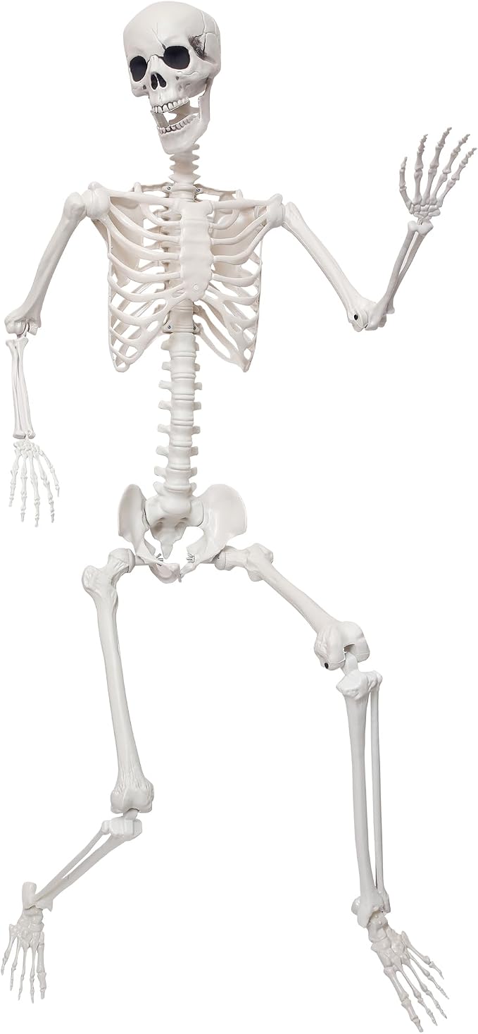 5.9Ft Giant Skeleton Life Size Human Bones with Movable Joints for Halloween Props Decorations - skeleton