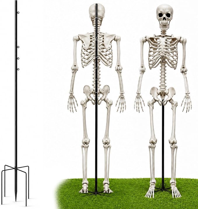 Adjustable Halloween Skeleton Stand, 5.4 Ft Metal Skeleton Pose Stand - skeleton