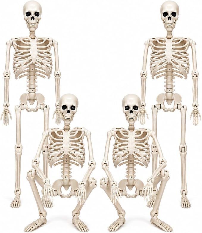 Halloween Skeletons Decorations - 4 Pack 3 ft Life Size Posable Skeletons, Realistic Plastic 36" Full Body Skeleton, Spooky Scary Creepy Halloween Props for Outdoor Indoor Decor - skeleton
