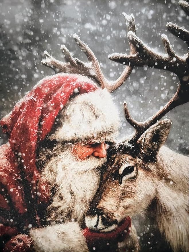 Christmas Diamond Art Kits for Adults Santa Claus Deer Diamond Painting Kit - skull painting