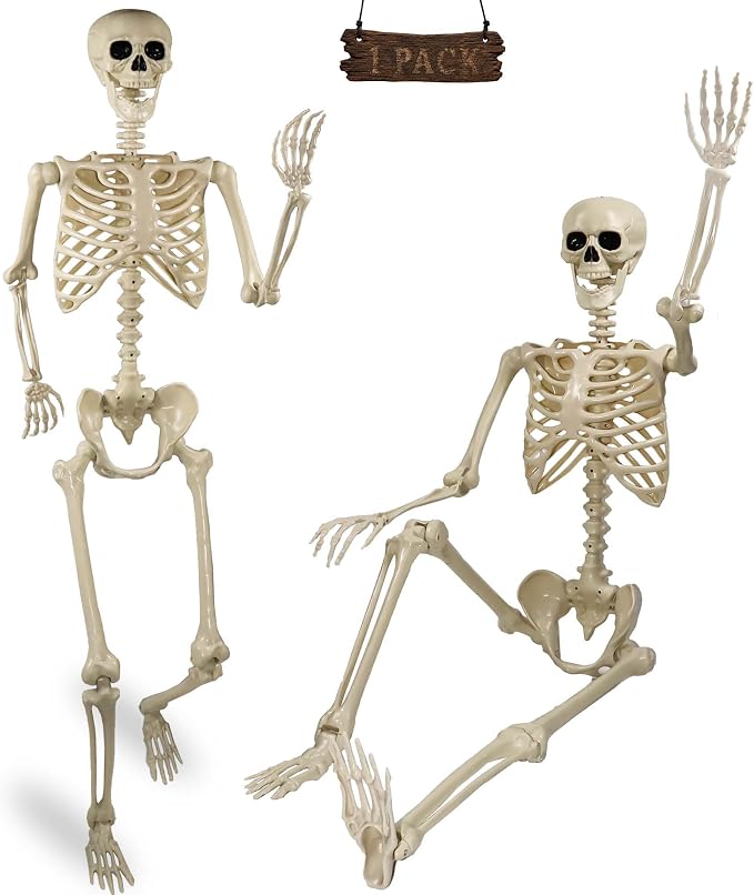 Znorso 5.9FT/185cm Skeleton Halloween Full Size, Full Body Realistic Bones with Movable Joints Skeletons for Halloween Party Outdoor Life Size Large Skeleton for Halloween Decorations Outdoor - skeleton