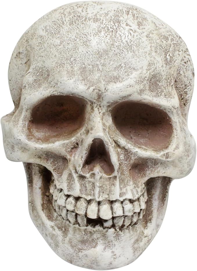 Yorkmills Halloween Skull Wall Decor Skeleton Head Statue for Table Display - skull figurine