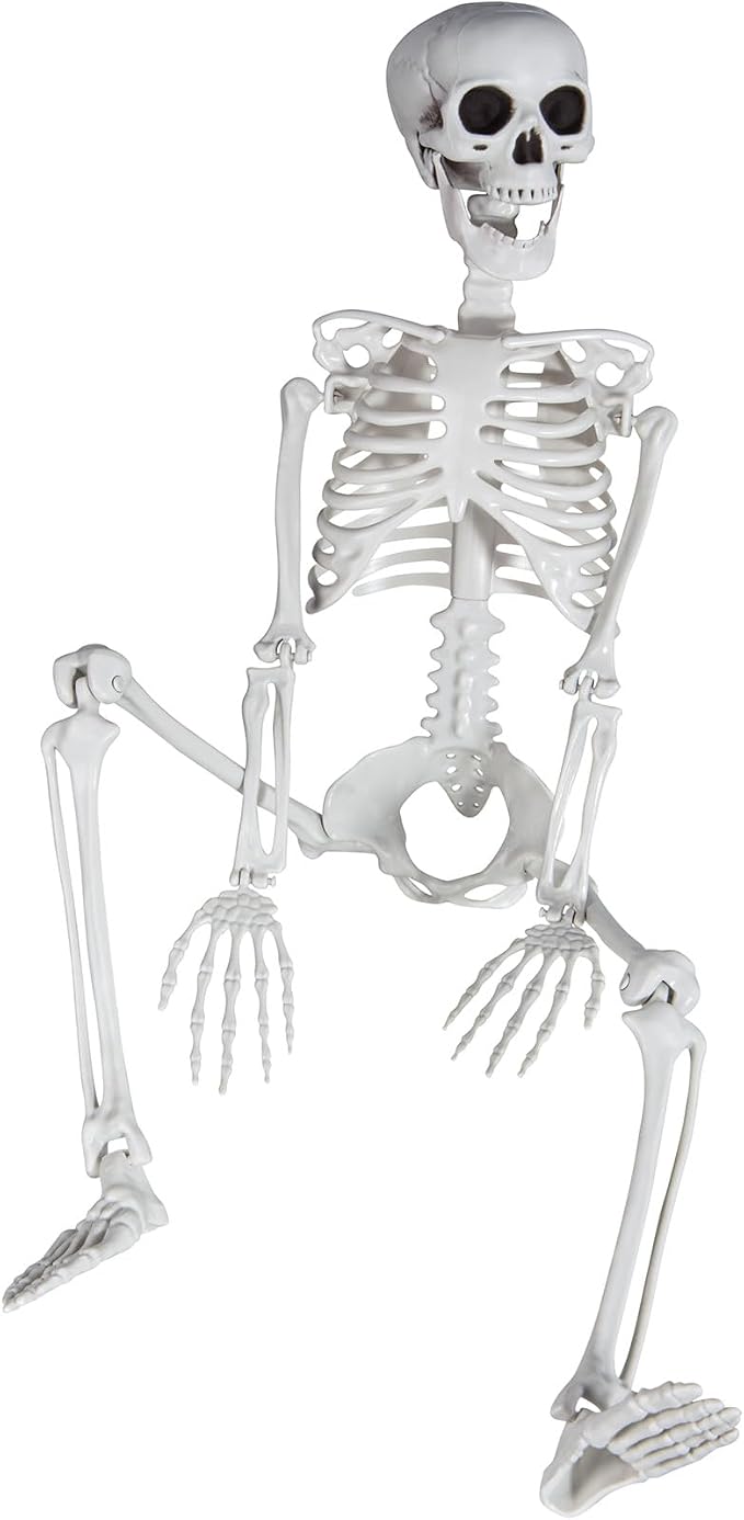 3ft/36inch Skeleton for Halloween, Realistic Skeleton with Posable Joints - skeleton