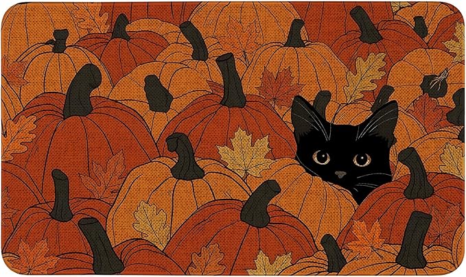 Fall Front Door Mat Indoor Outdoor Entrance, Non-Slip Washable Pumpkin with Black Cat Autumn Door Mats Outside Entrance Orange Fall Porch Welcome Floor Mat Doormat Outdoor, 17″x30″