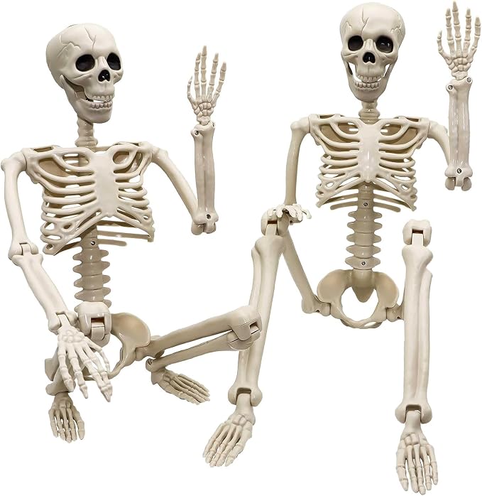 euoloar 2 Pack 36" Halloween Skeleton Outdoor Decor, 3 ft Life Size Human Skeleton with Full Body Posable Joints Plastic Skeleton for Yard Patio Lawn Garden Spooky Party Decoration - skeleton
