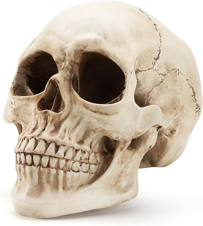 Skull Decor, Premium Resin Realistic Skeleton Head Statue for Halloween, Fake Human Bone Skull Model for Halloween Decoration, Home Bookshelf, Table, Party Display - skull figurine
