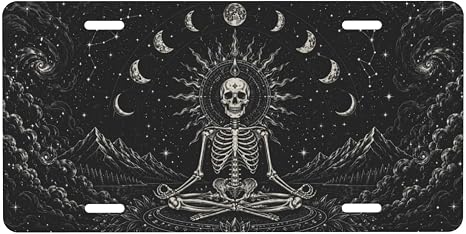 Skull Mystic License Plate - 6x12 Inch Aluminum Novelty Decorative Vanity Metal Front Car Plate for Women Men - skull plate