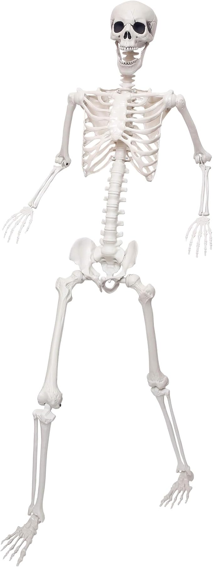 Lodou 5.9Ft/180cm Life Size Giant Skeleton Poseable Plastic Skeleton for Halloween Decor