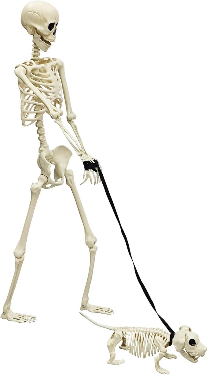 5.4FT Halloween Skeleton Life Size Human Adult Skeletons with Skeleton Dog Halloween Decorations for Indoor Outdoor Garden Lawn,Haunted House Props, Spooky Scene Party Decor - skeleton