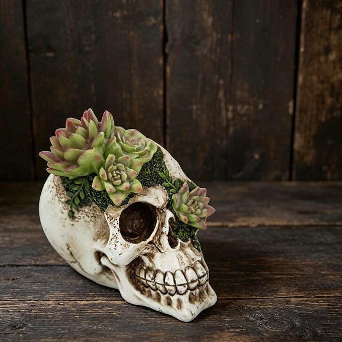 Skull Succulent Figurine Gothic Resin Decor for Halloween & Novelty Gift - skull figurine