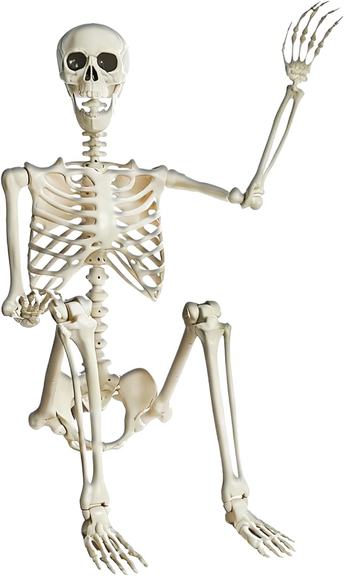 5.4FT Life Size Posable Halloween Skeleton Decorations, Full Body Realistic Plastic Skeleton with Movable Joints, Giant Props for Yard, Haunted House, Graveyard, Indoor/Outdoor Spooky Party - skeleton