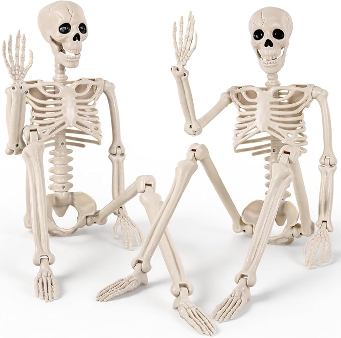 DWTS 2 Pack 36" Skeletons for Halloween - 3 Ft Life Size Human Skeleton with Full Body Movable Joints, Halloween Decorations Outdoor, Halloween Decor for Yard Patio Lawn Garden - skeleton