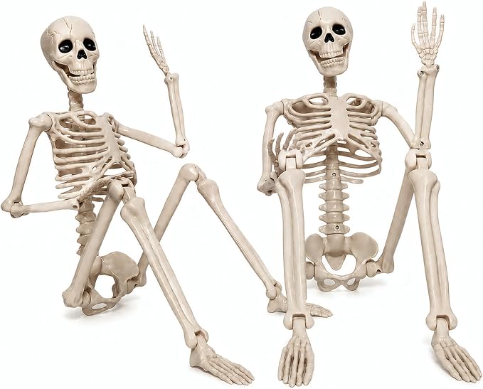 2 Pack 36" Halloween Skeleton, Life Size Full Body Posable Skeleton Outdoor - skeleton