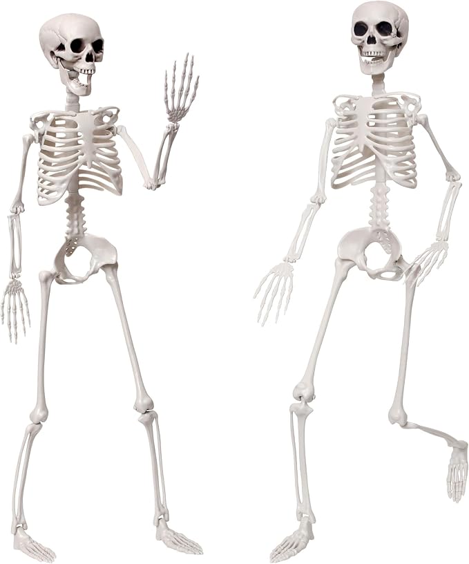 3Ft Life Size Full Body Realistic Posable Skeleton for Halloween Decoration - skeleton