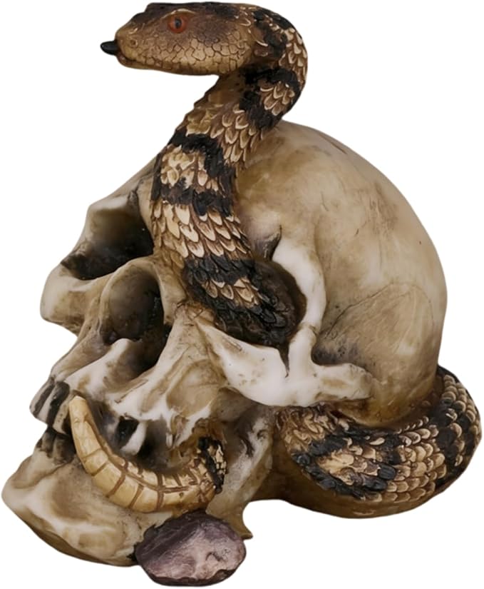 Snake Wrapped Cracked Human Skull Resin Figurine Halloween Statue Ornament - skull figurine