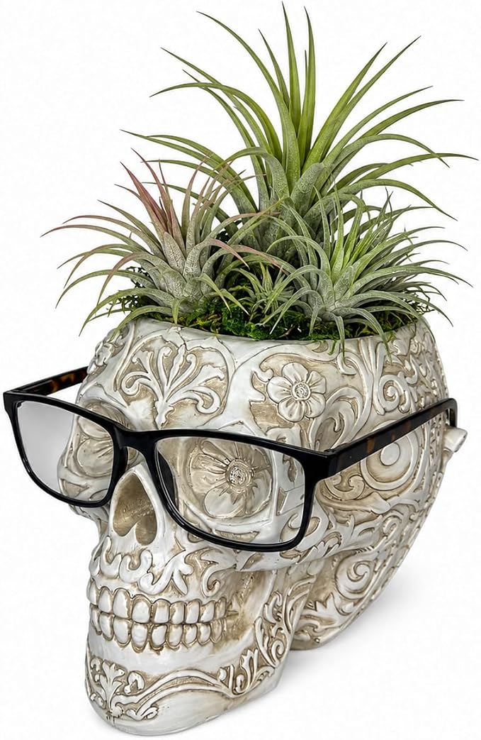 Top Brass Large Sugar Skull Eyeglass Holder & Succulent Planter – Decorative Skull Glasses Stand, Reading Glasses Organizer, Small Flower Pot, Resin Desk Decor, Sunglasses Holder, Home Office Décor - skull candle