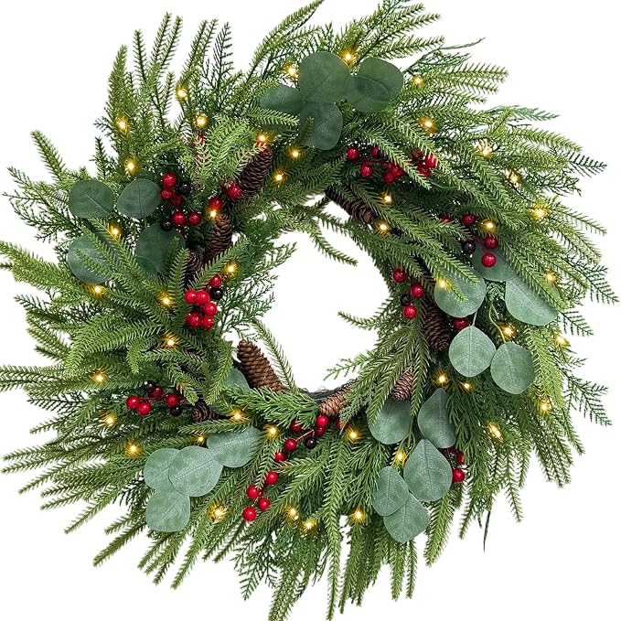 26″ Christmas Wreath for Front Door with Lights,Prelit Christmas Wreath Norfolk Pine Wreath with Berries/Pine Cones,Outdoor Christmas Decorations Winter Wreath for Windows Wall Holiday Decor(Red)