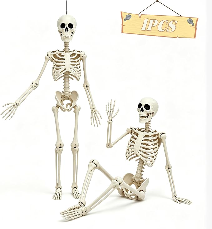 5.75ft Life Size Posable Halloween Skeleton, Movable Joints