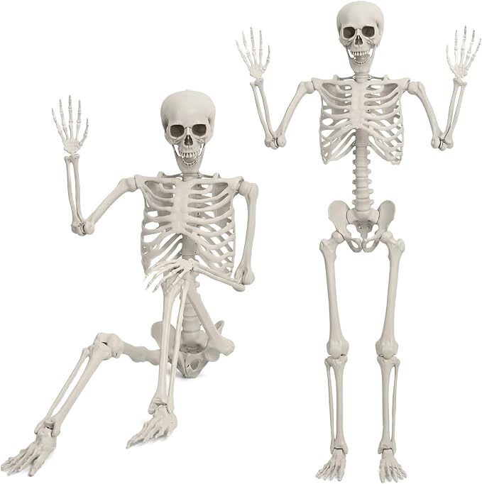 3ft Halloween Skeleton Decorations Poseable Prop with Bone Details - skeleton