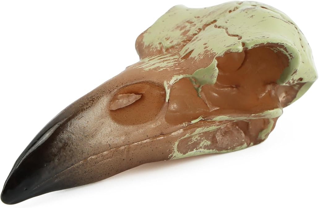 Raven Skull Pendant Decor, Gothic Halloween Bird Skull Accent - skull figurine