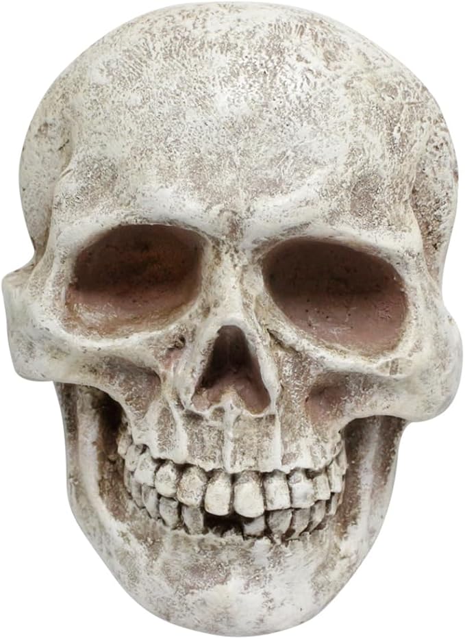 Resin Skull Wall Decor, Realistic Human Skull Wall Hanging Ornament, Gothic Halloween Decorations for Home Indoor Outdoor, Horror Haunted House Party Garden Tree Yard Wall Art, Spooky Resin Sculpture - skull lamp