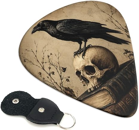 Gothic Skull Raven 6 Pack Guitar Picks Light Pick Triangle Pick - string light